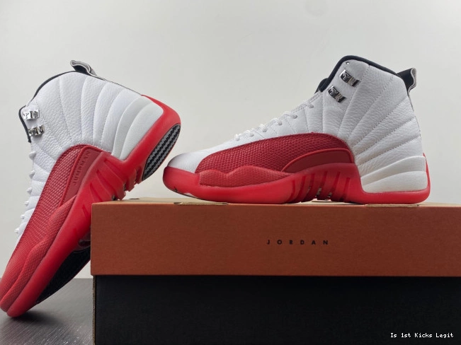 Air Jordan Cherry 130690-110 Retro 12 0802